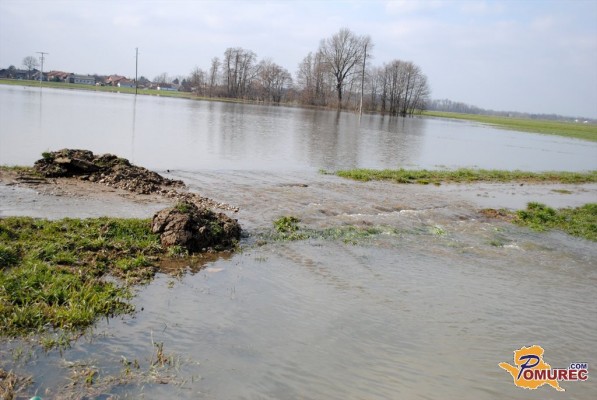 FOTO: V Žižkih se razliva tudi komunalna voda
