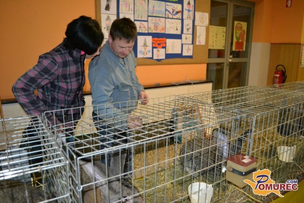 FOTO: Na OŠ I razstava malih živali	