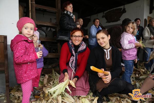 FOTO: Na »gümli« Kovačeve domačije v Nedelici »lüpali kukorco«