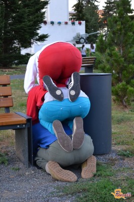 FOTO: Telesa v urbanih prostorih preplavila Mursko Soboto