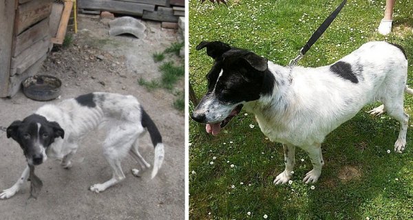 Aprila je na Pušči shirana zrla smrti v oči, zdaj se je postavila na noge