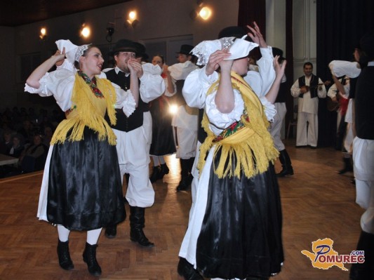 FOTO: Dan druženja in plesa v Bogojini