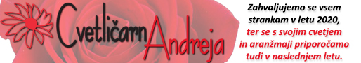 https://www.facebook.com/Cvetli%C4%8Darna-Andreja-380603335338336/